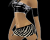 Zebra Concept Outfit