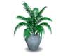 POTTED PLANT 7