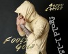 Aaron Carter: Fools Gold