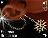 &acirc;�� Animated Earrings 01