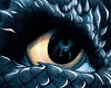 Blue Dragon Eyes