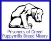 Prisoners Of GREED !!