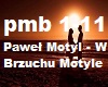 Pawel Motyl - W Brzuchu