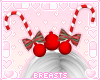Xmas canes & ornaments