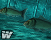 W | Sea Fish