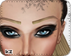 [kz]Blonde Ombre Brows