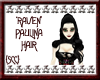 {SCC}Raven Paulina Hair