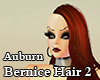 Auburn Bernice Hair 2