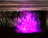 purple fire real looking