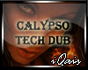 Calypso Tech Dubstep