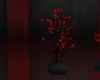 reflet plante red black