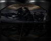 Wolf Walker Room