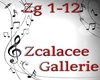 Zcalacee-Gallerie