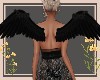 Black wings