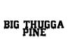 BIG THUGGA PINE(F)