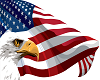 American flag eagle 4