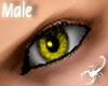 38RB Yellow Eyes - M