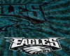 M/F Eagles Blanket 