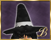 SilverWitchHat