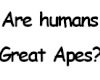 great apes? (sign)