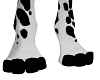 paw feet