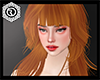 Sv-Octaviso Ginger