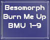 Besomorph- Burn me up