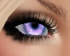 Lavender Eye