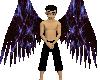 Angel Wings Black&Purple