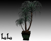 Green Palm Tree ani