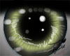 Green lanterns eyes [M]