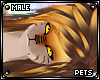 [PETS] Tigger | hair v1