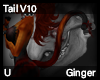 Ginger Tail V10