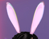 F-Bunny Ears