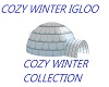 Cozy Winter IgLoo