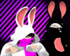 [P] Bunny Hoody W [M]