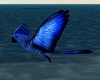 PHV Tropical Blue Parrot