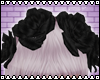 Lp! Black rose crown