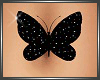 SL Butterfly Belly Black