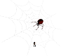 Halloween Spider N Web