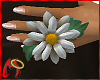 Daisy On Hand