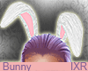 eAnimated Bunny Eare
