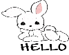 Rabbit Hello