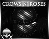 !Crows Nest ::