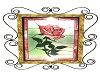 Rose Stained Glass