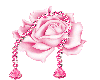 pretty pink rose