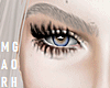 M. Arched Gray MH