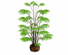 exotic plants 2