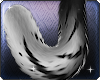Tiager Girl Tail