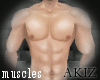 ]Akiz[ Perfect Muscles